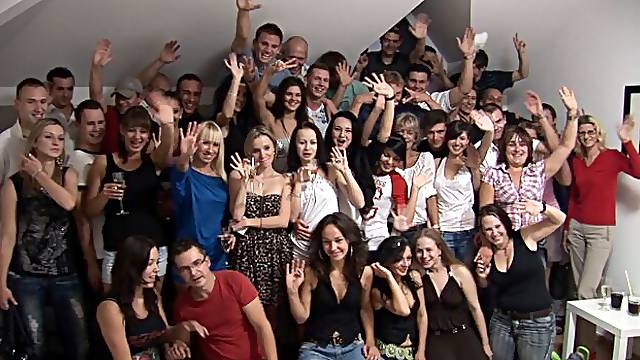 Orgy Vids