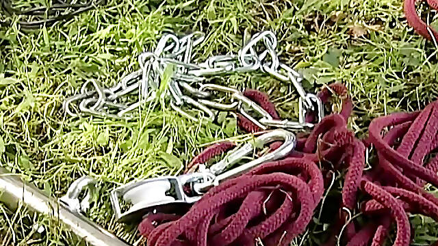 Bondage Vids